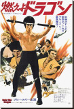 Enter the Dragon Stretched Canvas Print