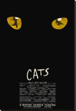 Cats Stretched Canvas Print