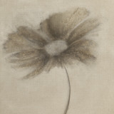 Tonal Flowers II Posters by Emma Forrester