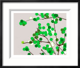 Green Cherry blossom Lámina fotográfica enmarcada por Estela Lugo