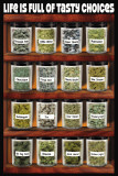 Life Is Full of Tasty Choices Photo