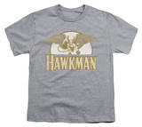 Youth: Hawkman - Fly By Shirt