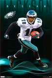 Eagles - D Jackson 2011 Posters