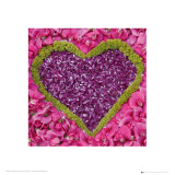 Madalenes Hearts Pink Posters