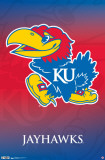 Kansas University 2011 Foto