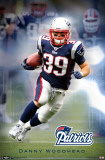 Patriots - D Woodward 2011 Posters