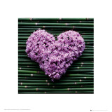 Madalenes Hearts Bamboo Art