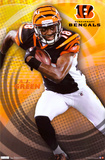 Bengals - A.J. Green 2011 Photo Bengals - A.J. Green 2011 Photo