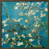 Ramos com a Flor da Amêndoa, San Remy, c.1890 Pôsters por Vincent van Gogh Ramos com a Flor da Amêndoa, San Remy, c.1890 Pôsters por Vincent van Gogh