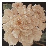 Ivory Peonies Posters par Janet Kruskamp