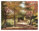 Autumn Country Road Prints by Lene Alston Casey