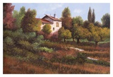La Casa Nel Bosco Print by Furtesen 