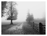 Misty I Poster von Stephen Rutherford-Bate