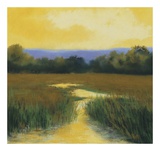 Yellow Sky Stream Posters by Lois Gold
