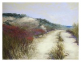 Dunes, Ocean View Posters par Lois Gold