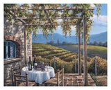 Terraza al viñedo Láminas por Sung Kim