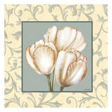 Tulips With Scroll Affiches par Catherine Jones