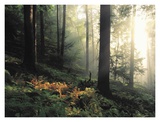 An Island In Time Prints by Anthony Cook