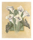 Cala Lilies Posters by Shari White