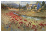 Villa d'Umbria Posters by Ruth Baderian