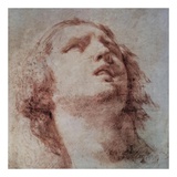 Study of a Head Looking Up Plakat av Pietro Berrettini