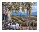Weinbergterrasse Kunstdrucke von Sung Kim
