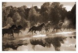 Traversée de chevaux Posters par Robert Dawson