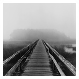 Misty Walk, Cape Cod Kunstdrucke von Reid Yalom