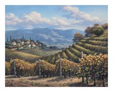 Villa en los viñedos Póster por Sung Kim Villa en los viñedos Póster por Sung Kim