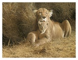 A Mother's Pride Poster by W. Michael Frye