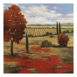 Chianti Country II Poster by Kanayo Ede