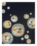 Mod Pod IV Pósters por Jenn Ski