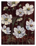 California Cosmos Posters par Shari White