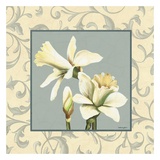 Daffodils With Scroll Posters par Catherine Jones