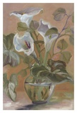 Alice Lilies Posters by Shari White