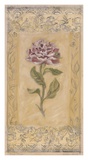 Peonie Toile Prints by Shari White