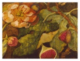Luscious Flower and Figs Affiches par Nicole Etienne