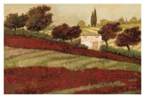 Apapaveri Toscana I Affiches par Furtesen 