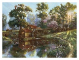 Heartland Mill Prints by Nenad Mirkovich