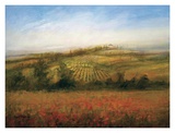 Poppy Meadow Posters by Ken Hildrew