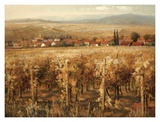 Italian Golden Vineyard Poster by K. Adams