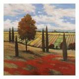 Chianti Country I Prints by Kanayo Ede