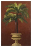Potted Palm Red III Art by Welby 
