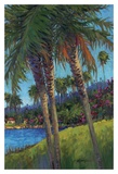 Palm Trees Prints by Kairong Liu
