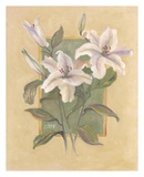 White Lilies Prints by Shari White