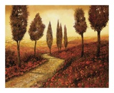 Strada Tra I Papaveri Prints by Furtesen 