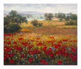 Italian Poppy Vista I Art by Ahn Seung Koo