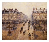 The Avenue De L'Opera Art by Camille Pissarro