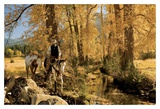 Eric's Fall Ride Affiches par Robert Dawson