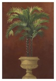 Potted Palm Red IV Posters by Welby 